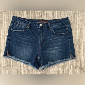 Joe’s Jeans Raw Hem Blue Denim Shorts